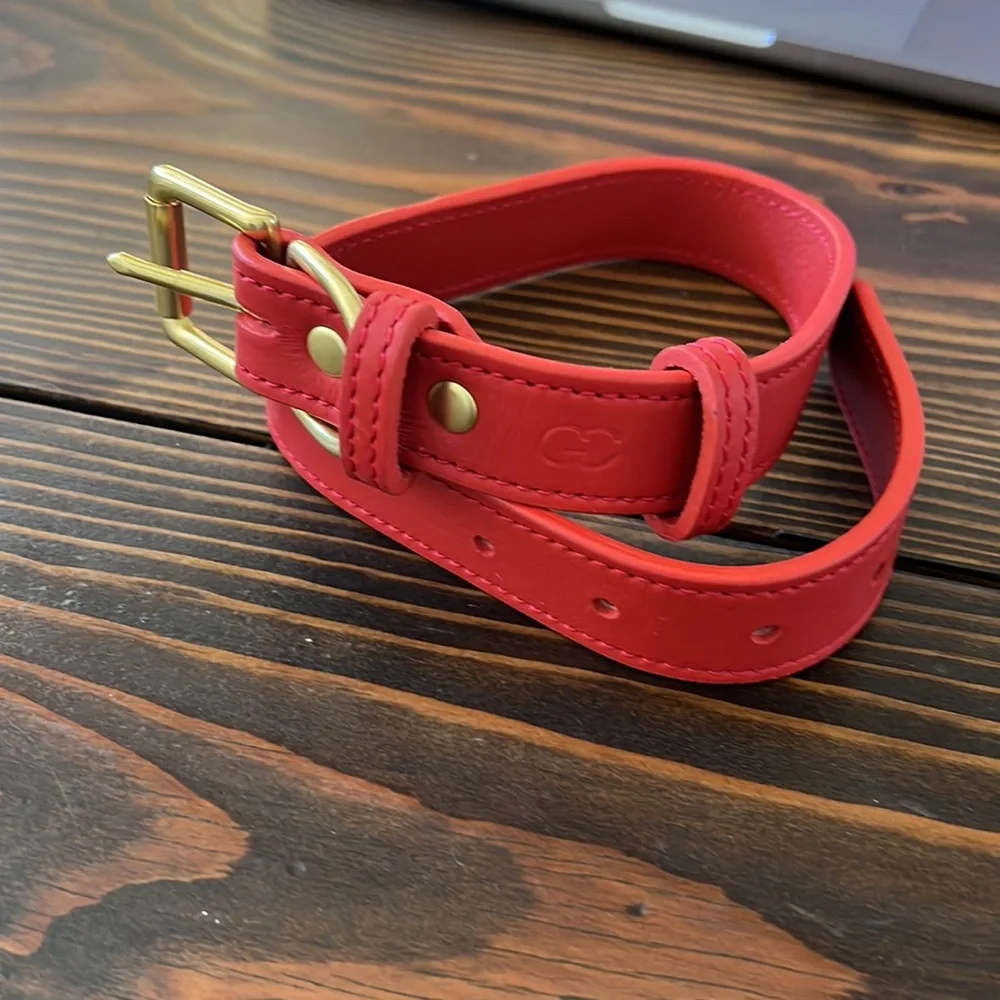 Collar and leash set from Genuine Canine